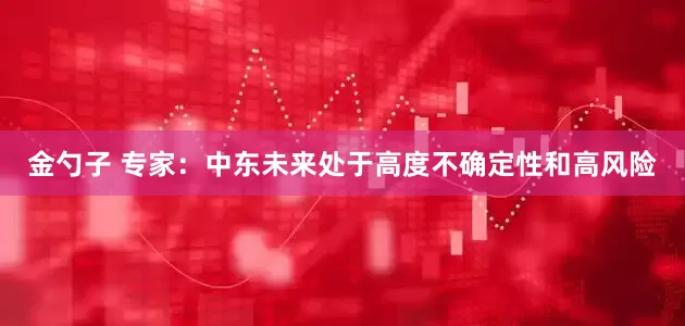 金勺子 专家：中东未来处于高度不确定性和高风险