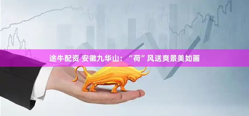 途牛配资 安徽九华山：“荷”风送爽景美如画