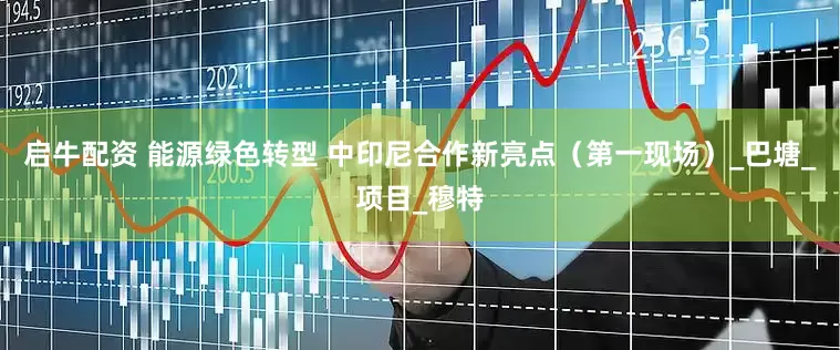 启牛配资 能源绿色转型 中印尼合作新亮点（第一现场）_巴塘_项目_穆特