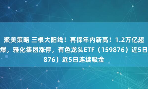 聚美策略 三根大阳线！再探年内新高！1.2万亿超级工程引爆，雅化集团涨停，有色龙头ETF（159876）近5日连续吸金
