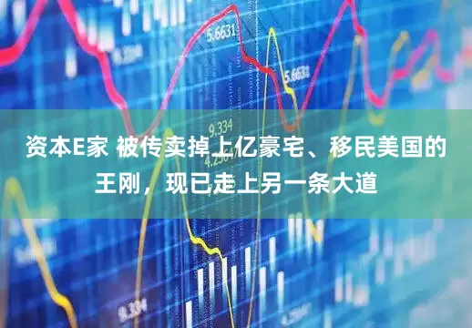 资本E家 被传卖掉上亿豪宅、移民美国的王刚，现已走上另一条大道